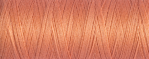 Load image into Gallery viewer, Gutermann Sew All Thread 100m shade 587