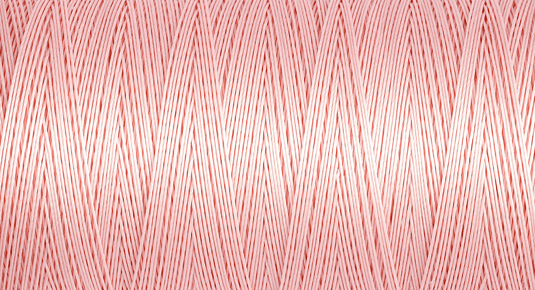 Quilting Thread 200m Col. 2538