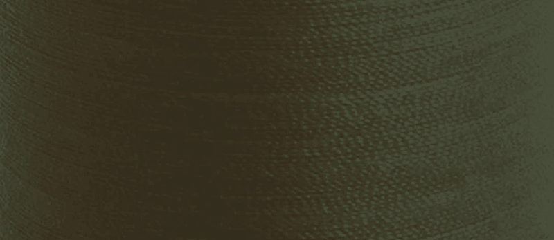 Load image into Gallery viewer, Aerofil No.120: 5 x 100m: Seaweed Green