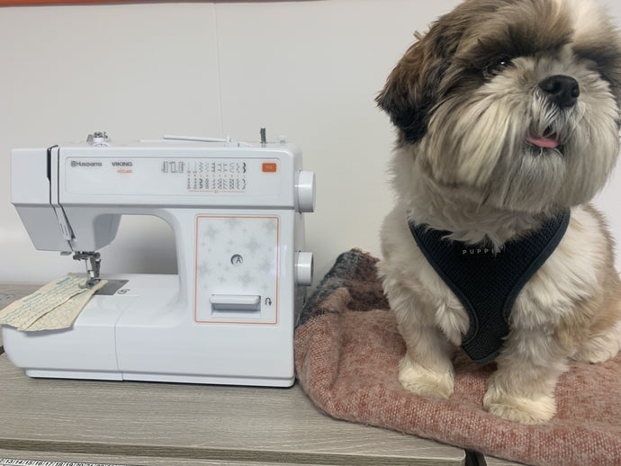 Ruby's loving the Husqvarna E10