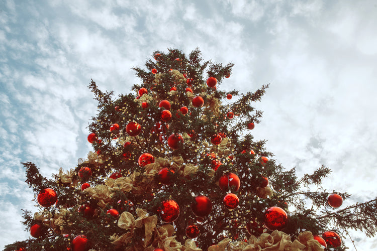 Christmas is coming!