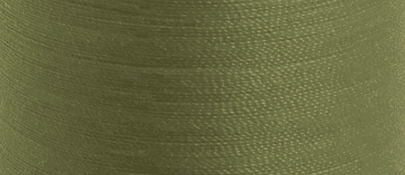 Load image into Gallery viewer, Aerofil No.120: 5 x 100m: Crocodile Green
